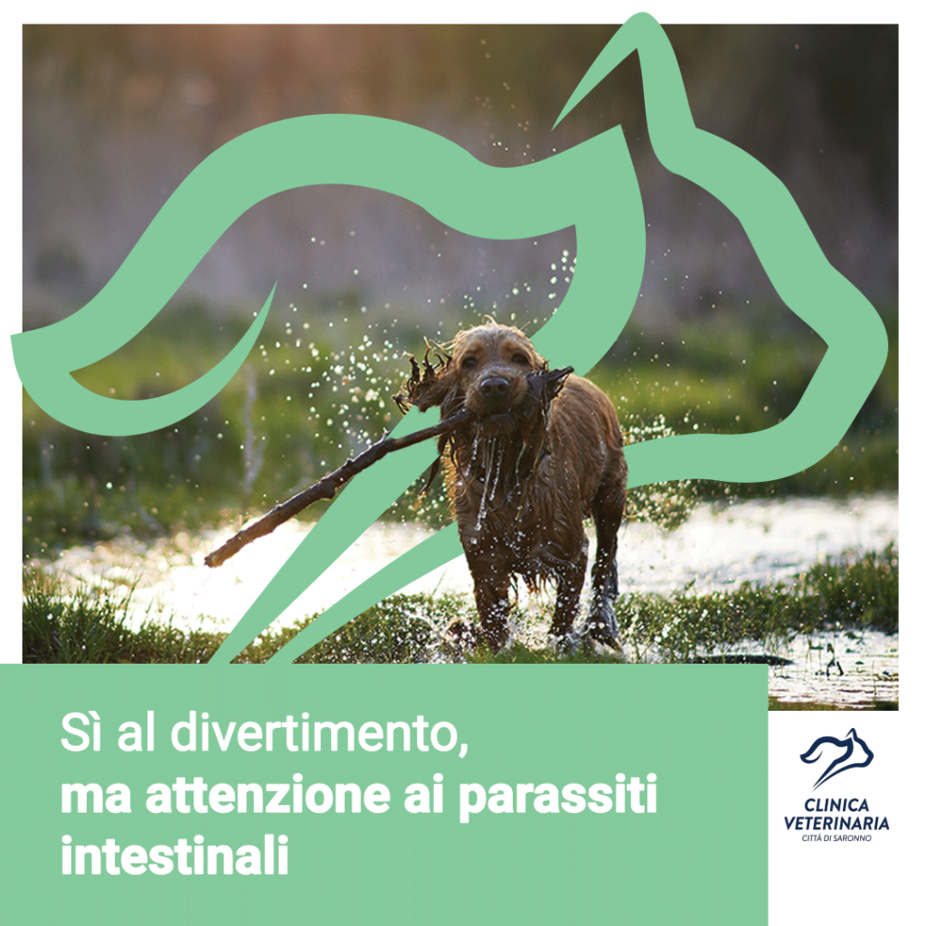 Parassiti intestinali: come prevenirli?