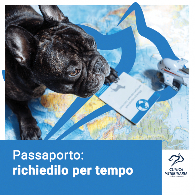 Passaporto