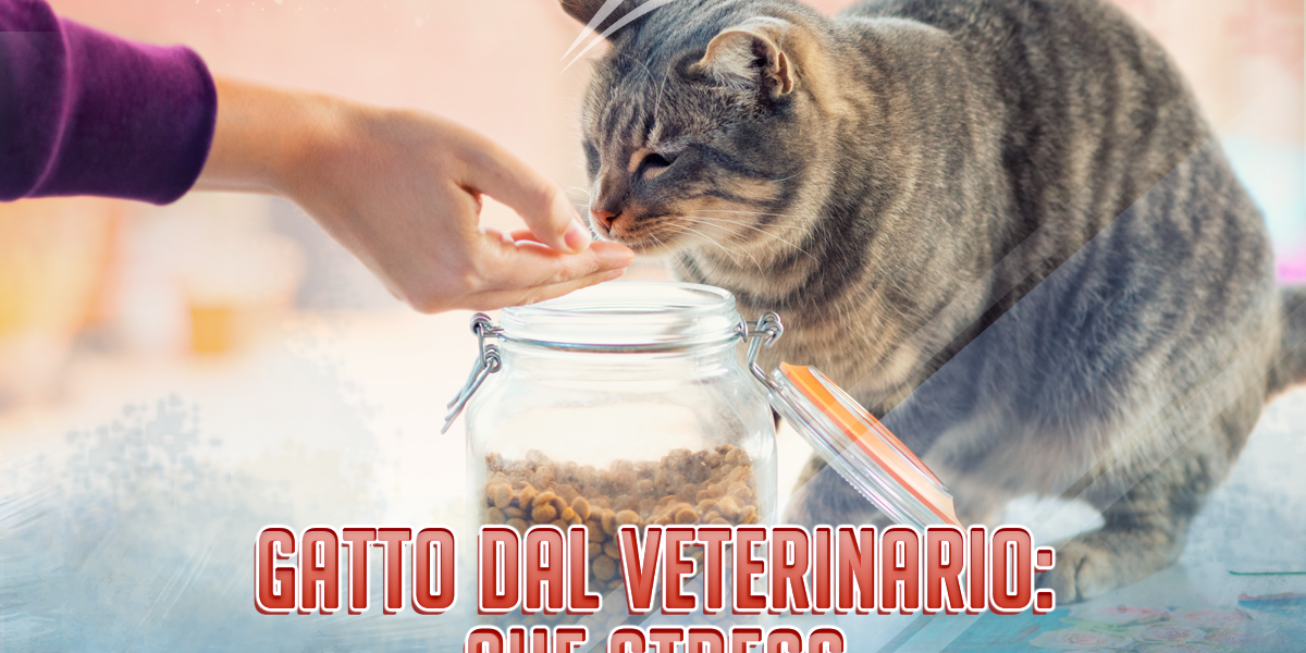 Locandina-ORIZZONTALE_Ilpremio