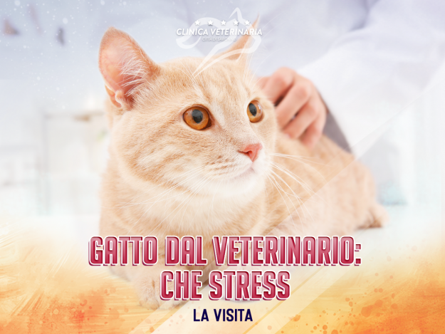 Locandina-ORIZZONTALE_Lavisita