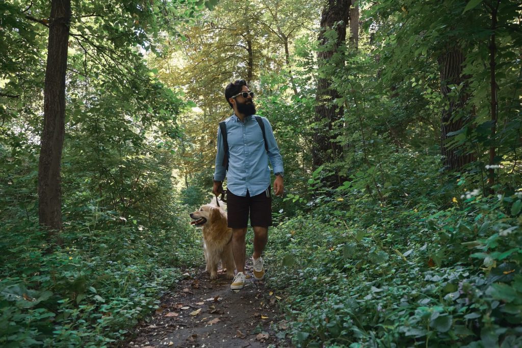 Passeggiate nei boschi: come comportarsi?