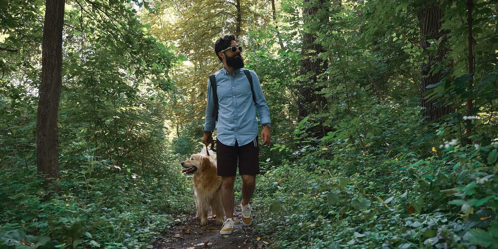 passeggiate nei boschi con cane